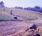 1971_94a.JPG