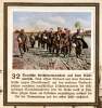 032.JPG